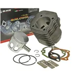 Zylindersatz Zylinderkit Malossi Sport 124ccm für Yamaha BWs, Aerox, Minarelli 100 2T M.3111374 Zylindersatz Zylinderkit Malossi Sport 124ccm für Yamaha BWs, Aerox, Minarelli 100 2T M.3111374