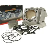 Zylindersatz Zylinderkit Malossi Aluminium Sport 169ccm für Honda 150ccm LC M.3111588