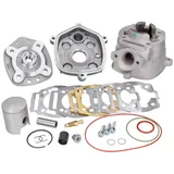 cylinder kit Malossi MHR Team Modular 50cc for D50B0, D50B1 M.3112981