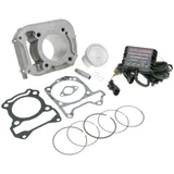 Zylinderkit Malossi I-Tech 185ccm für Vespa Primavera, Sprint 125-150, Piaggio Liberty 125 3V 4T AC M.3116669