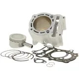 Zylindersatz Zylinderkit Malossi Aluminium Sport 290ccm für Aprilia, Benelli, Italjet, MBK, Yamaha M.319578