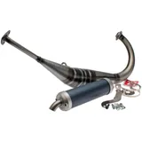 Auspuff Malossi MHR Replica für Aprilia RS4 50 2T LC D50B 2012- Euro2- M.3215230