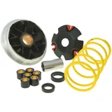 Variator Variomatik Malossi Multivar für Suzuki (99-) M.5111298