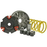 variator Malossi Multivar 2000 for Cygnus X, BWs 125 M.5112701