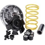 variator Malossi Multivar 2000 for Honda Helix CN250, Piaggio Hexagon 250, CF M.5118627