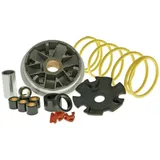 Variator Variomatik Malossi Multivar für Piaggio Sfera, Zip 50ccm 2-Takt M.517081