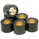 Variorollen Variomatikgewichte Malossi HT 24x18mm - 21,0g M.669915C