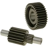 Abtrieb Getriebe sekundär Malossi HTQ 17/37 für Honda FES, NSS, Peugeot SV, Piaggio X9 250 M.679983 Abtrieb Getriebe sekundär Malossi HTQ 17/37 für Honda FES, NSS, Peugeot SV, Piaggio X9 250 M.679983