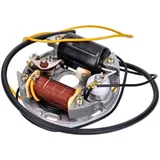 Zündanker Komplett 6V 17W 90mm für Kreidler Florett, Flory, Zündapp, Puch MG00004151