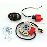 Innenrotor Elektronik Zündung 16,4mm x 11,8mm 200g für Zündapp, Tomos, Puch MG00041298