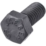 Schraube M5x10mm [5.6] MG00065760