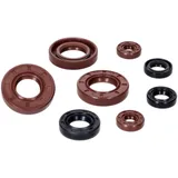 engine oil seal set Naraku VTS Premium for Piaggio / Derbi D50B0 NK103.37