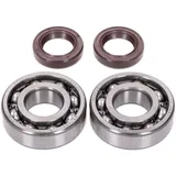 Kurbelwellenlager Satz Naraku FKM Heavy Duty für Peugeot liegend NK104.05 Kurbelwellenlager Satz Naraku FKM Heavy Duty für Peugeot liegend NK104.05