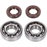 Kugellager Kurbelwellenlager Satz Naraku SKF / FKM Premium C4 für Derbi EBE, EBS, D50B0 NK104.21 Kugellager Kurbelwellenlager Satz Naraku SKF / FKM Premium C4 für Derbi EBE, EBS, D50B0 NK104.21