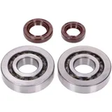 Kurbelwellenlager Satz Naraku SKF, FKM Premium C3 Metallkäfig für Kymco, SYM stehend NK104.25 Kurbelwellenlager Satz Naraku SKF, FKM Premium C3 Metallkäfig für Kymco, SYM stehend NK104.25