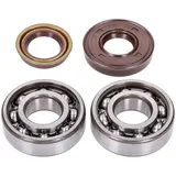 crankshaft bearing set Naraku SKF, FKM Premium C4 metal cage for Minarelli horizontal, vertical, AC, LC (CW, MA, MY, CA, CY) NK1