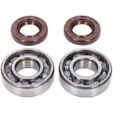crankshaft bearing set Naraku SKF, FKM Premium C4 polyamide for Derbi EBE, EBS, D50B NK104.36 crankshaft bearing set Naraku SKF, FKM Premium C4 polyamide for Derbi EBE, EBS, D50B NK104.36