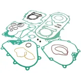 engine gasket set for Kymco Maxxer 300, MXU 300 NK160.68
