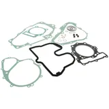 Dichtsatz Motor Dichtungssatz für Bombardier DS 650, BMW F 65 ST NK161.44