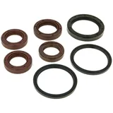 engine oil seal set for Aprilia, Benelli, Derbi, Peugeot, Piaggio, Vespa Maxi NK167.01