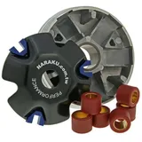 variator Naraku 7.5g for Kymco, SYM, Honda, Daelim 50 NK900.27