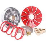 variator / vario kit Naraku maxi speed for Piaggio Fly, Liberty, Vespa Primavera, Sprint, LX, S 125i, 150i 3V NK900.32
