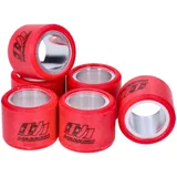variator / vario roller set Naraku heavy duty 19x15.5mm - 4.8g NK919.048