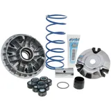 variator Polini Maxi Hi-Speed 9R for Honda PCX 125ie P.23780