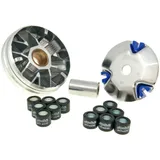 Variator Variomatik Polini Hi-Speed für Honda Dio SP, Vision, Peugeot ST Rapido P.24460