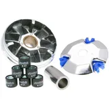 Variator Variomatik Polini Hi-Speed für Kymco liegend 50ccm P.34789