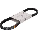 Antriebsriemen Keilriemen OEM für Aprilia SR Motard, Scarabeo, Piaggio Fly, Liberty TPH PI-480852