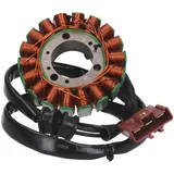 Lichtmaschine Stator OEM für Aprilia, Gilera, Piaggio 400, 500 PI-58080R