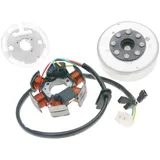 alternator stator and rotor OEM for Derbi, Aprilia with Ducati / Kokusan ignition PI-82829R