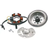 alternator stator and rotor OEM for Piaggio / Derbi engine D50B0 E-start PI-82852R