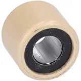 Variator Variomatikgewicht OEM 19x15,5 - 6,30g - 1 Stück PI-CM270202