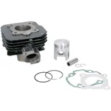 Zylindersatz Zylinderkit Top Performances Trophy 50ccm 40mm für Peugeot stehend AC TP-9924780 Zylindersatz Zylinderkit Top Performances Trophy 50ccm 40mm für Peugeot stehend AC TP-9924780