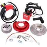 Innenrotor Zündung TPR Factory D=58 für Piaggio 50ccm TP-99ARI0300