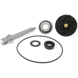 Reparaturkit Wasserpumpe für Piaggio 400, 500ccm 2004- VC30818