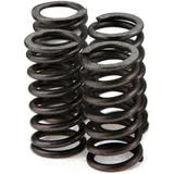clutch springs VOCA Race for Minarelli AM6 VCR-RD19188.SP