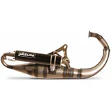 Exhaust Yasuni R-PRO carbon-look for Minarelli vertical YA307C-RPRO