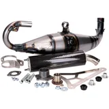 exhaust Yasuni Carrera 40 carbon fiber Scooter Racing for Minarelli horizontal YA826-1C