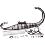Auspuff Yasuni Carrera 10 Aluminium für Minarelli stehend YAS317-2