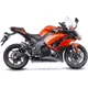 Schalldämpfer SBK Carbon LV-Pro_1