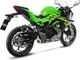 Silencer SBK carbon lv - one slip on evo for: Kawasaki Z, Ninja