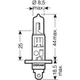 Lampe H1 24V70W Osram Truckstar pro_0