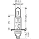 Bulb h1 12v55w single blister pack_1