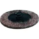 cleanergungs Disc n SC-DR 75MM 3M_2