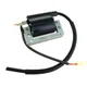 COIL OEM Replacement for Motorcycles_1