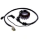 Stator (OE spare part) for: Vespa GTS, GTV, Piaggio MP3, Beverl