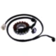 Stator (OE spare part) for: Piaggio MP3 7004129_0